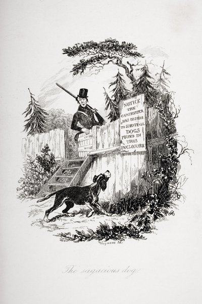 The sagacious dog, illustration from 